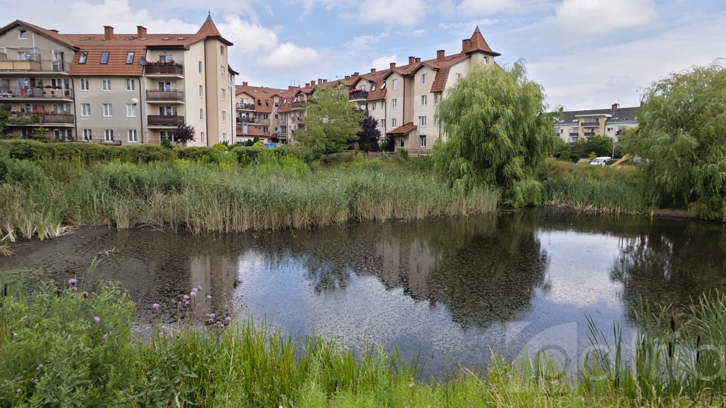 Szczecin, Warszewo, ul. Złotowska