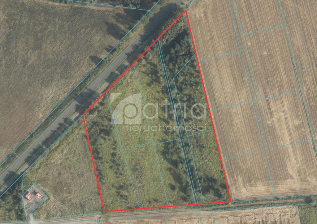 Działka Sprzedaż Żółwia Błoć