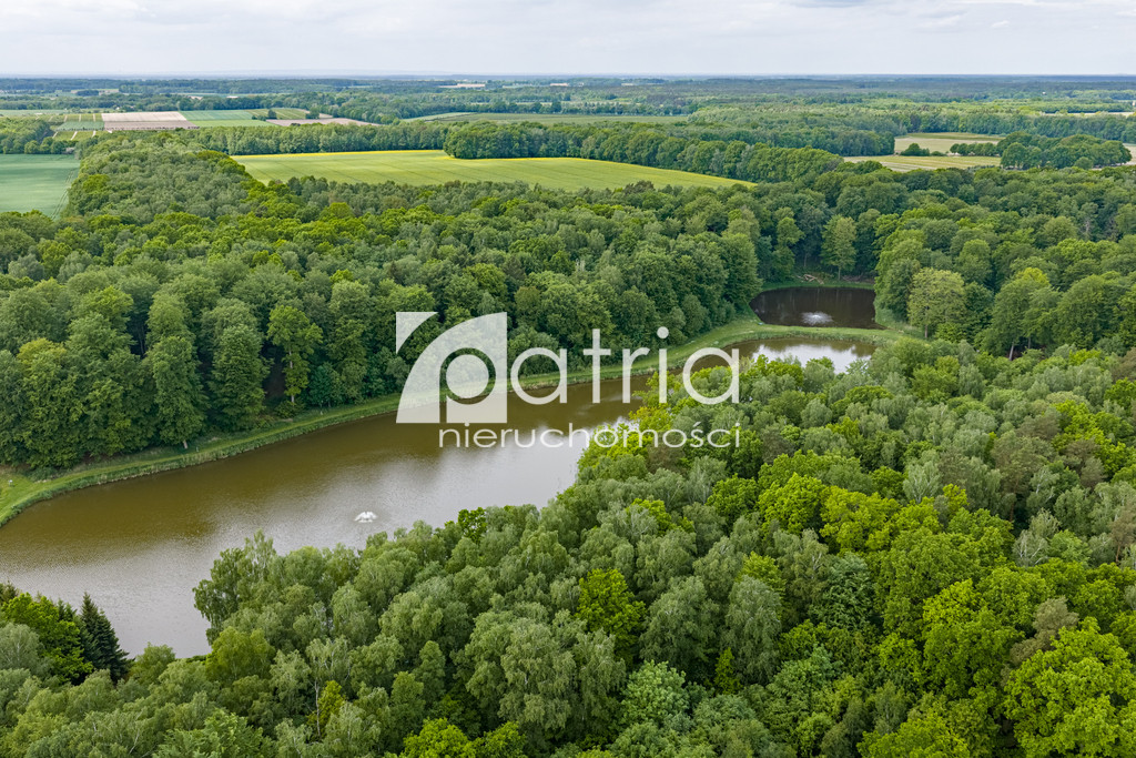 Działka Sprzedaż Wisławie