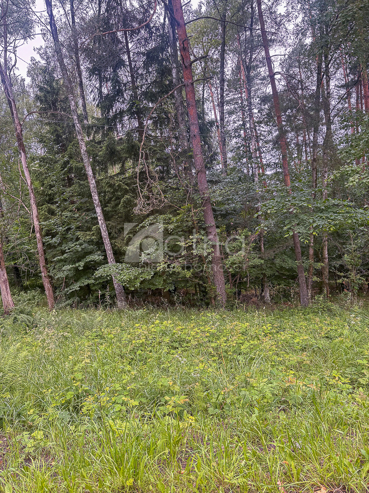 Działka Sprzedaż Piaseczno