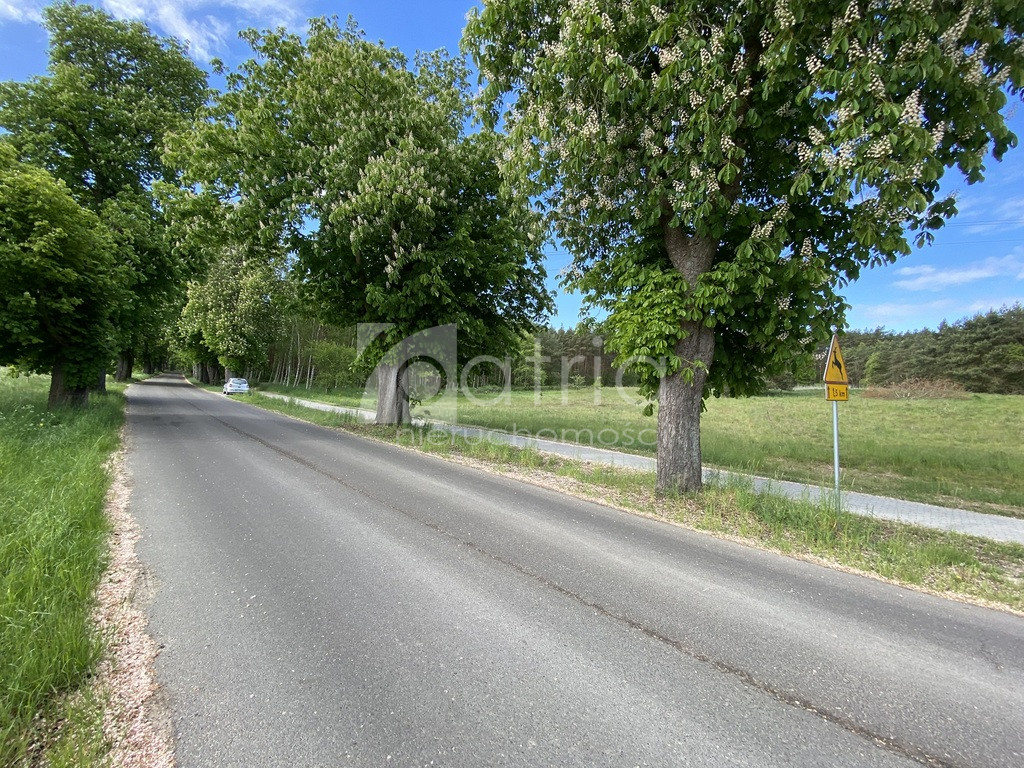 Działka Sprzedaż Buk