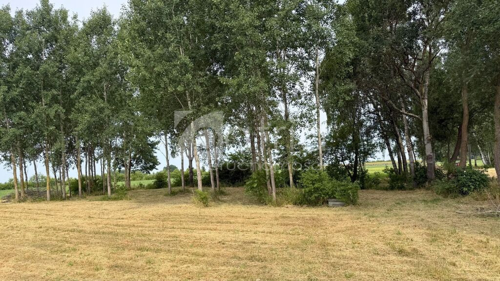Działka Sprzedaż Marszewo