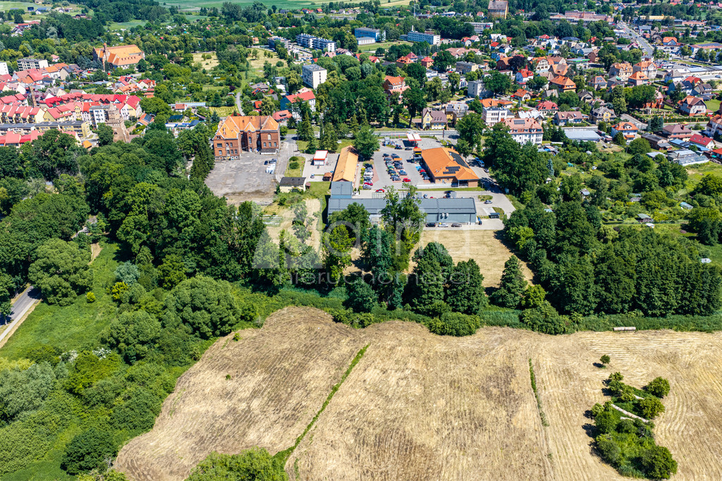 Działka Sprzedaż Chojna