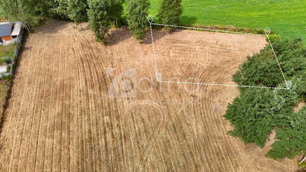 Działka Sprzedaż Marszewo