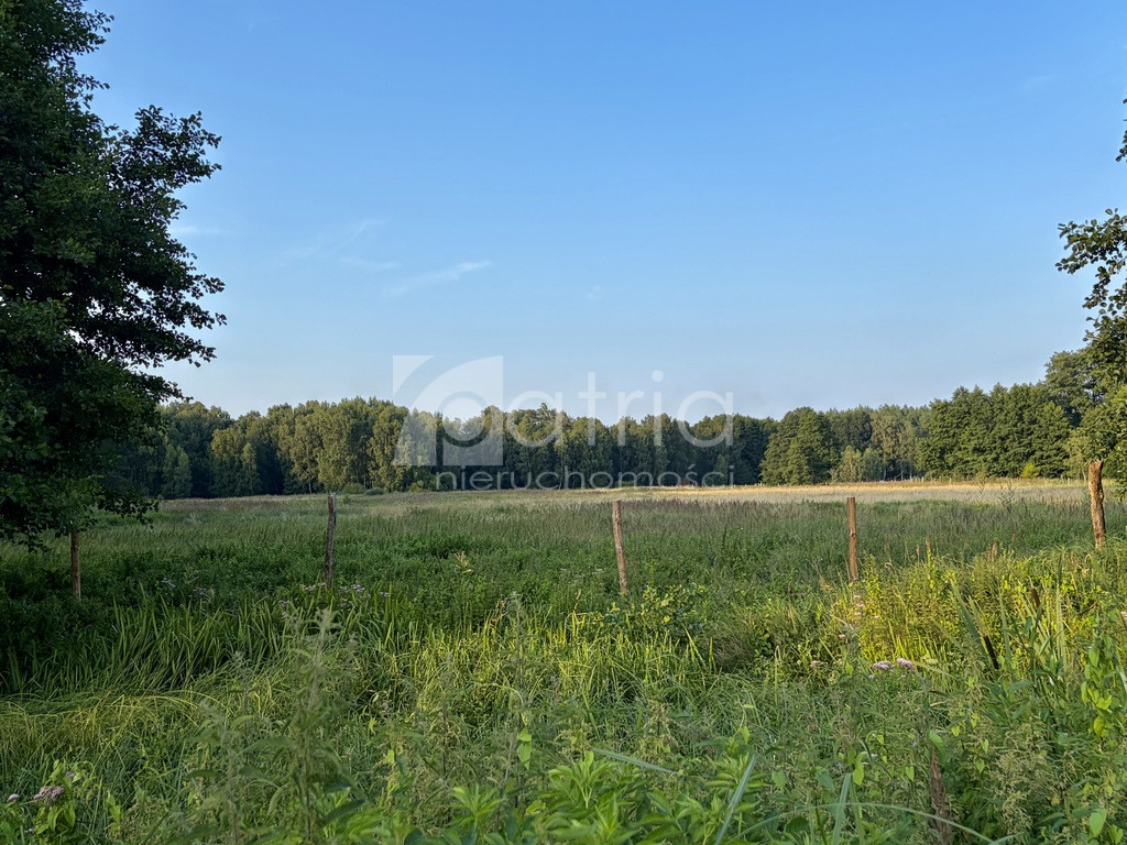 Działka Sprzedaż Tanowo 1
