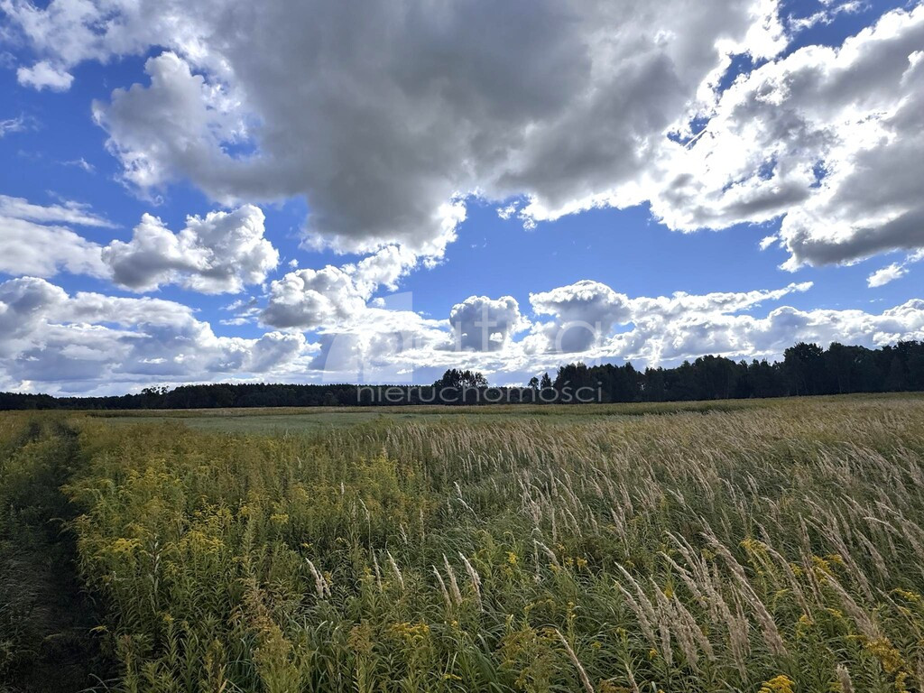 Działka Sprzedaż Żółwia Błoć 1