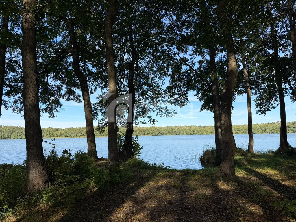Działka Sprzedaż Myślibórz Wielki 11