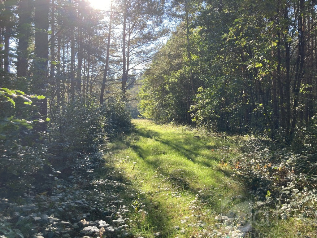 Działka Sprzedaż Krzepocin 5
