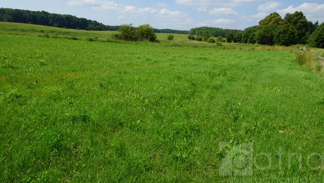 Działka Sprzedaż Bobolice