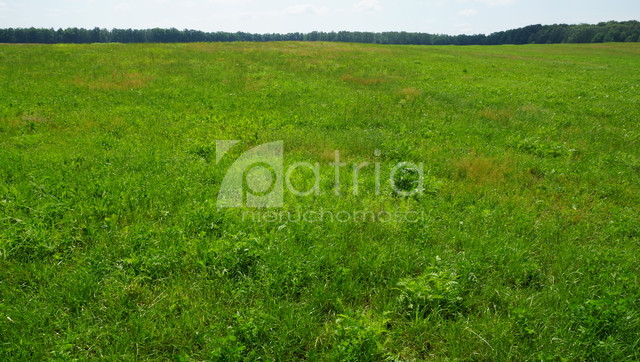Działka Sprzedaż Bobolice