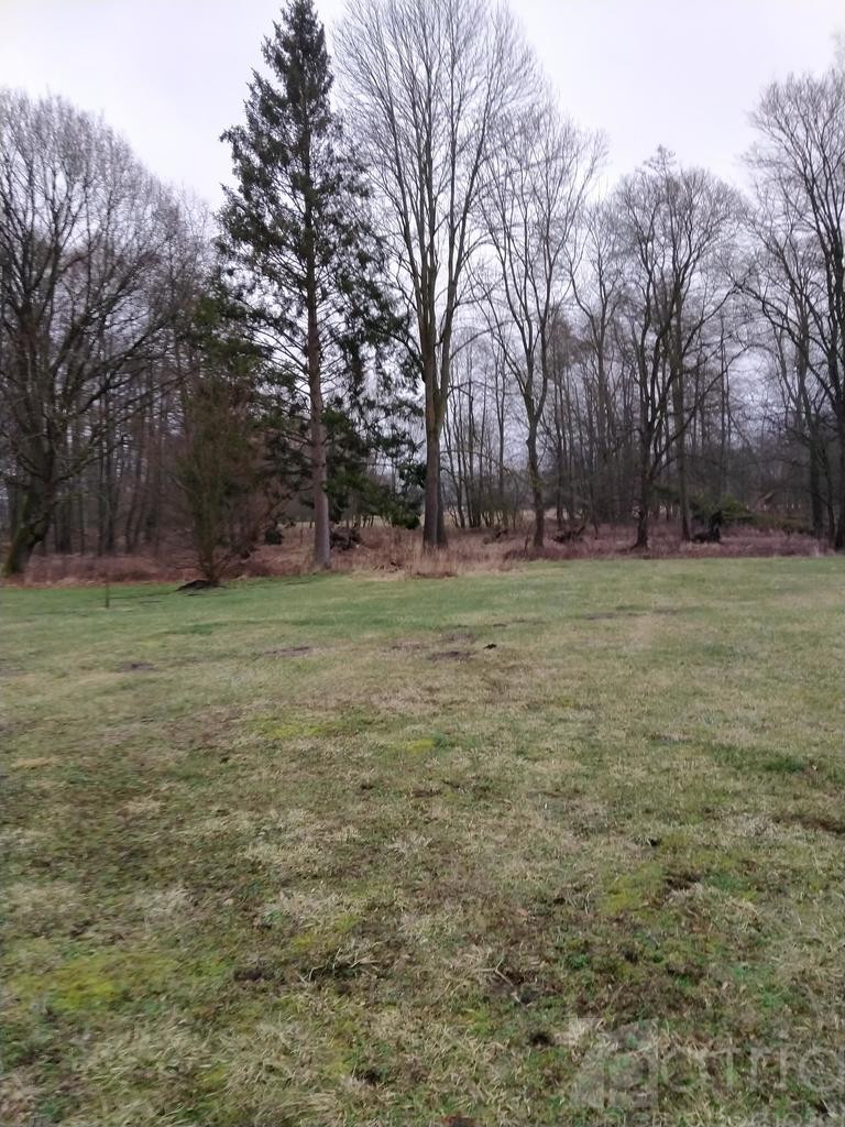 Działka Sprzedaż Rzędziny