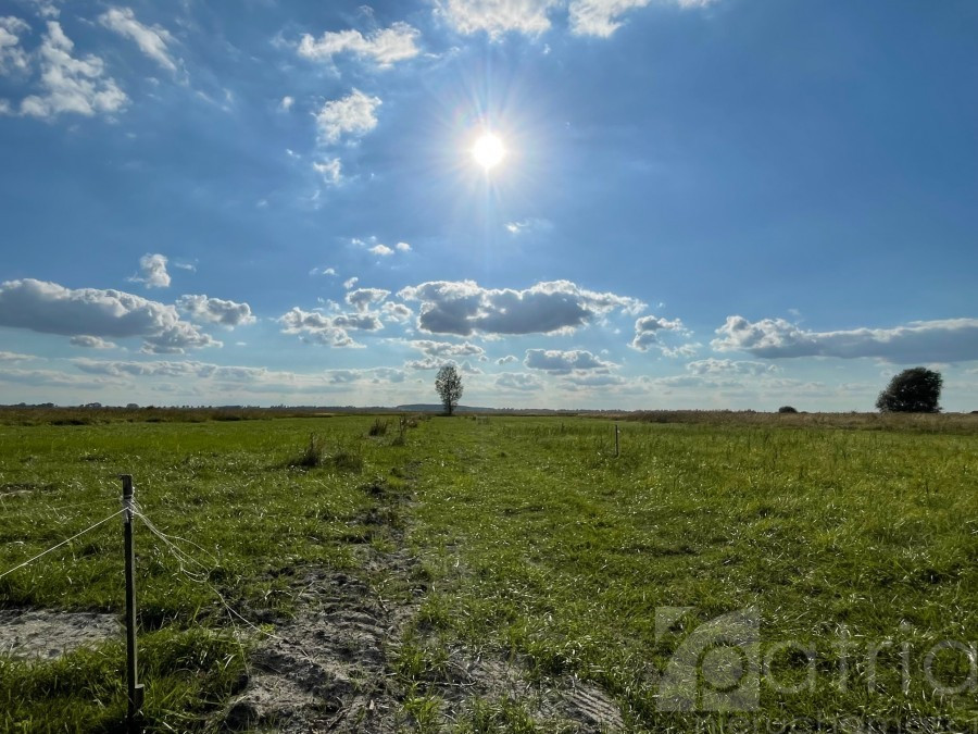 Działka Sprzedaż Wierzbno