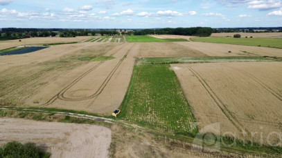 Działka Sprzedaż Bielice