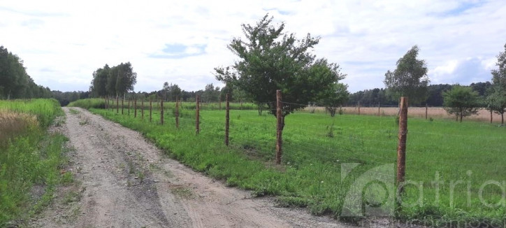 Działka Sprzedaż Smogolice 1