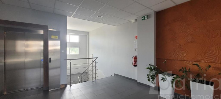 Lokal Wynajem Szczecin Łasztownia 1