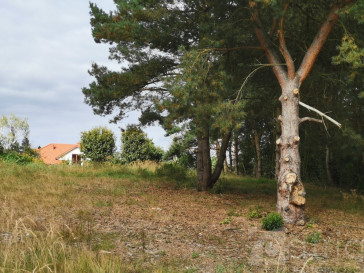 Działka Sprzedaż Szczecin Jezierzyce