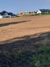 Działka Sprzedaż Kurów