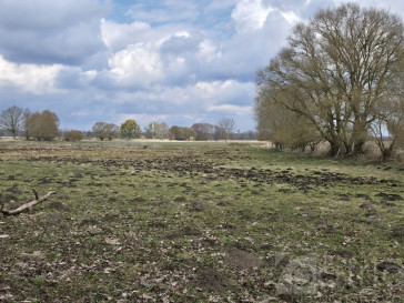 Działka Sprzedaż Rzędziny