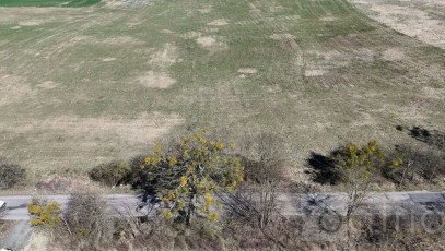 Działka Sprzedaż Buk