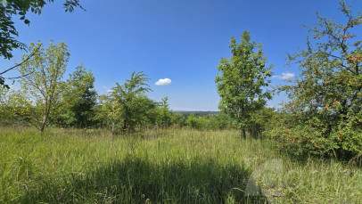 Działka Sprzedaż Radziszewo Liliowa