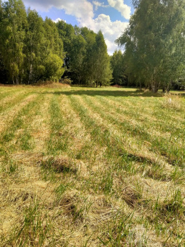 Działka Sprzedaż Grzepnica 1