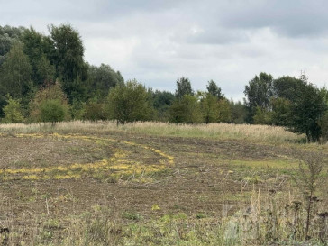 Działka Sprzedaż Stara Dąbrowa