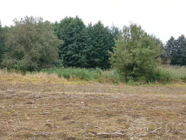 Działka Sprzedaż Stara Dąbrowa