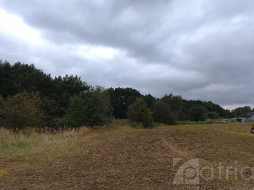 Działka Sprzedaż Stara Dąbrowa