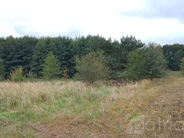 Działka Sprzedaż Stara Dąbrowa
