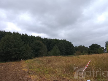 Działka Sprzedaż Stara Dąbrowa