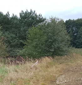 Działka Sprzedaż Stara Dąbrowa