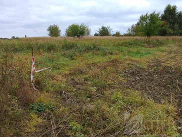 Działka Sprzedaż Stara Dąbrowa