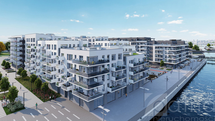 Mieszkanie Sprzedaż Szczecin Centrum Celna 1