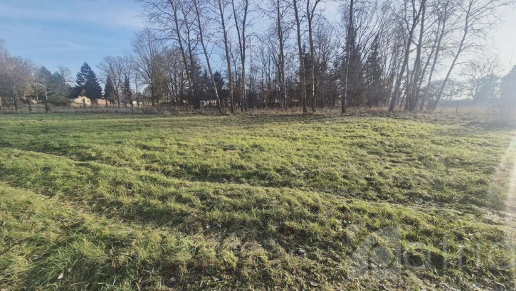 Działka Sprzedaż Tatynia 1