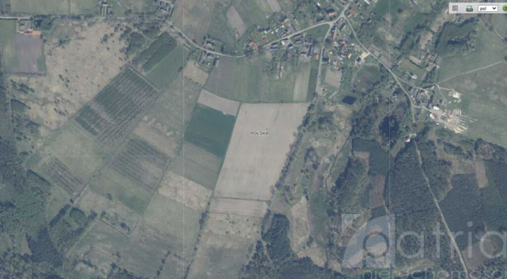 Działka Sprzedaż Trzechel 1