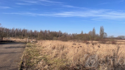 Działka Sprzedaż Mierzyn