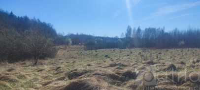 Działka Sprzedaż Linówko