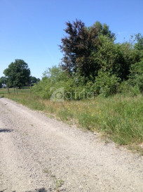 Działka Sprzedaż Lubczyna Kasztanowa