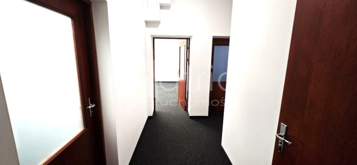 Lokal Wynajem Szczecin Śródmieście-Centrum 2