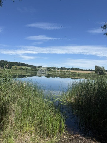 Działka Wynajem Binowo 1