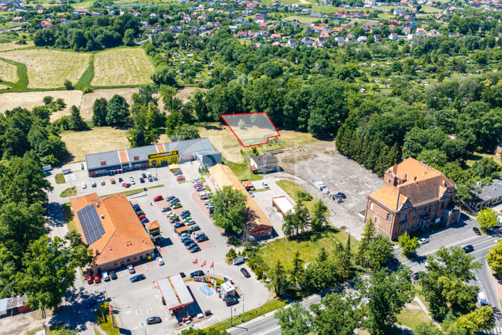Działka Sprzedaż Chojna 1