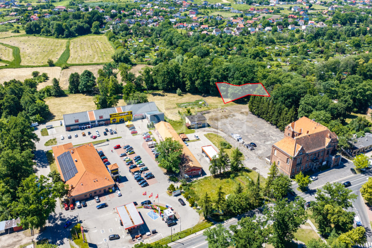 Działka Sprzedaż Chojna 1