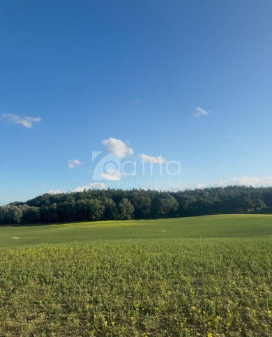 Działka Sprzedaż Buk 1