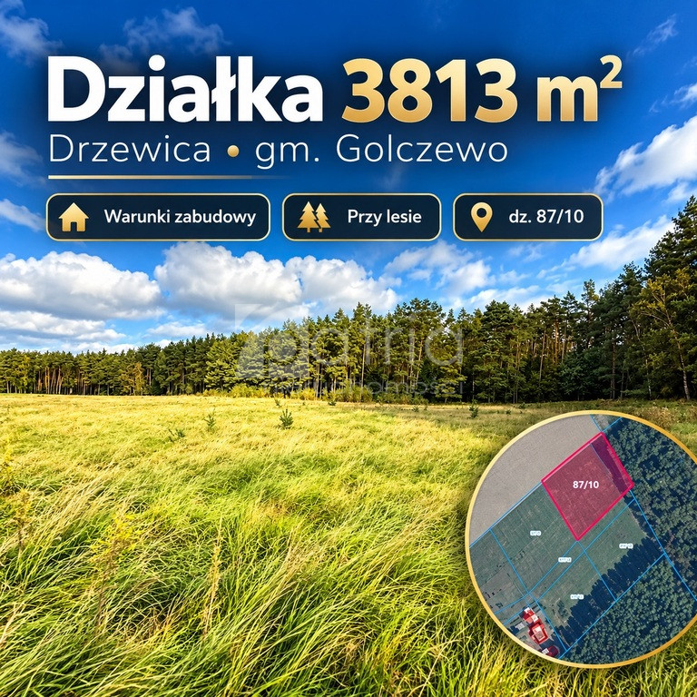 Działka Sprzedaż Drzewica