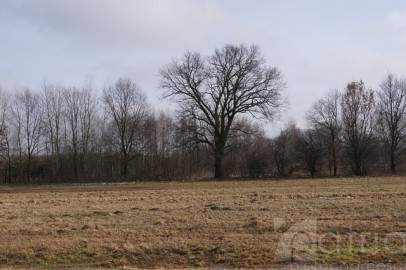 Działka Sprzedaż Jarzębowo