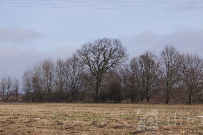 Działka Sprzedaż Jarzębowo