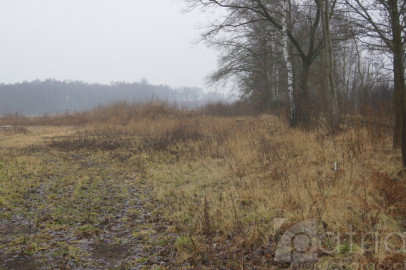 Działka Sprzedaż Rzędziny