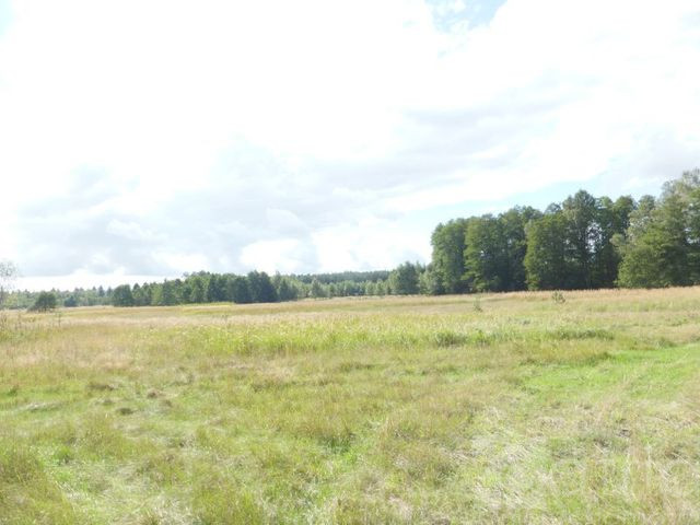 Działka Sprzedaż Grzepnica 1