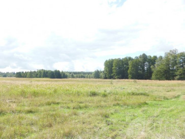 Działka Sprzedaż Grzepnica