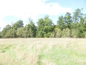 Działka Sprzedaż Grzepnica